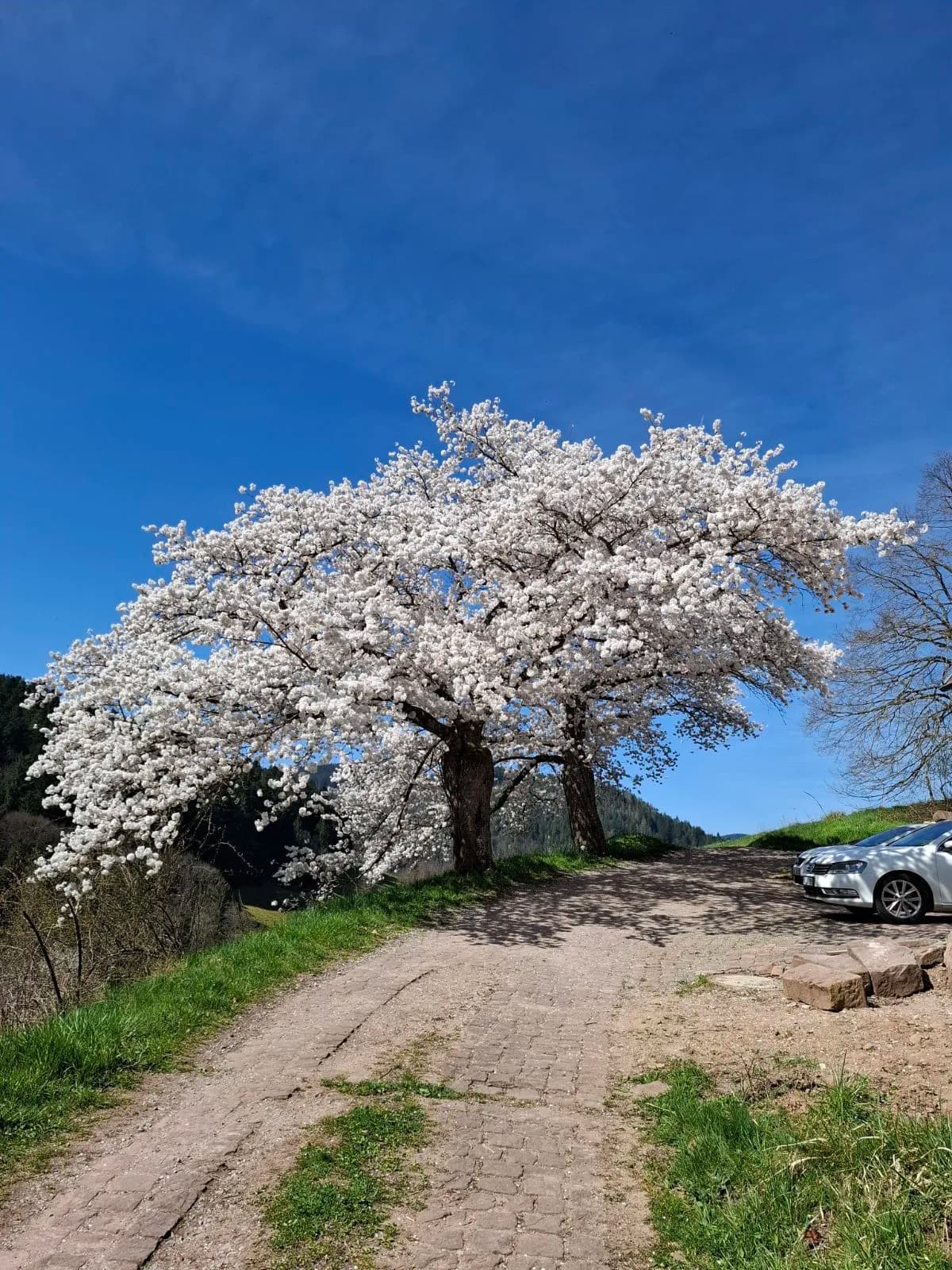 Schwarzwald-Panorama bei Schramberg – Ferienwohnung Schrödter
